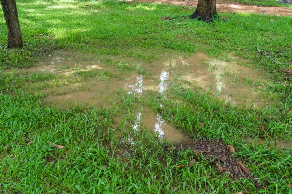Storm Water Drainage Service in Sumter