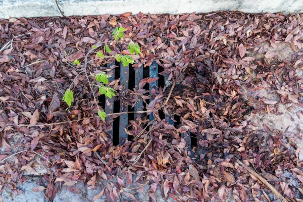 Yard Drain Unclogging in Sumter