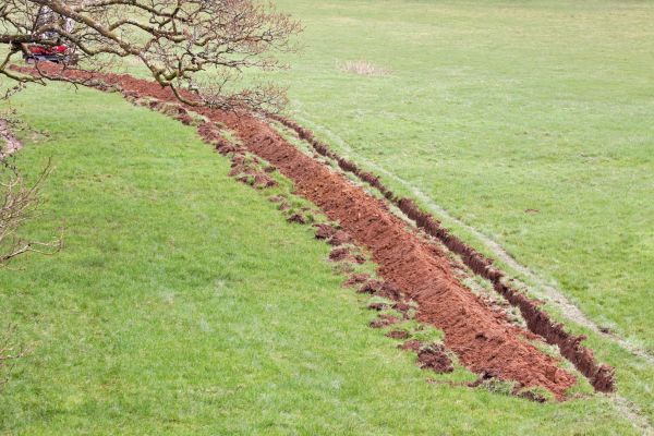Cost of Swale Installation in Sumter