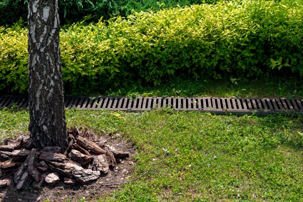 Garden Drainage Installation in Sumter