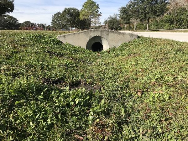 Cost of Swale Drainage Service in Sumter